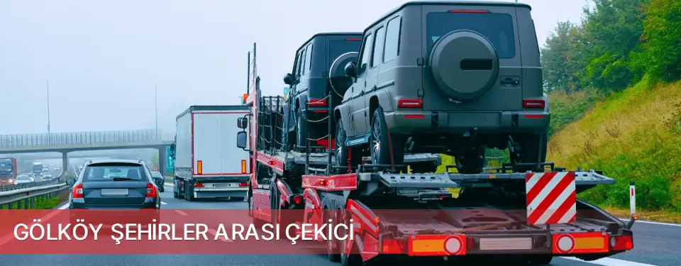 Gölköy İlçemi Şehirler Arası Çekici
